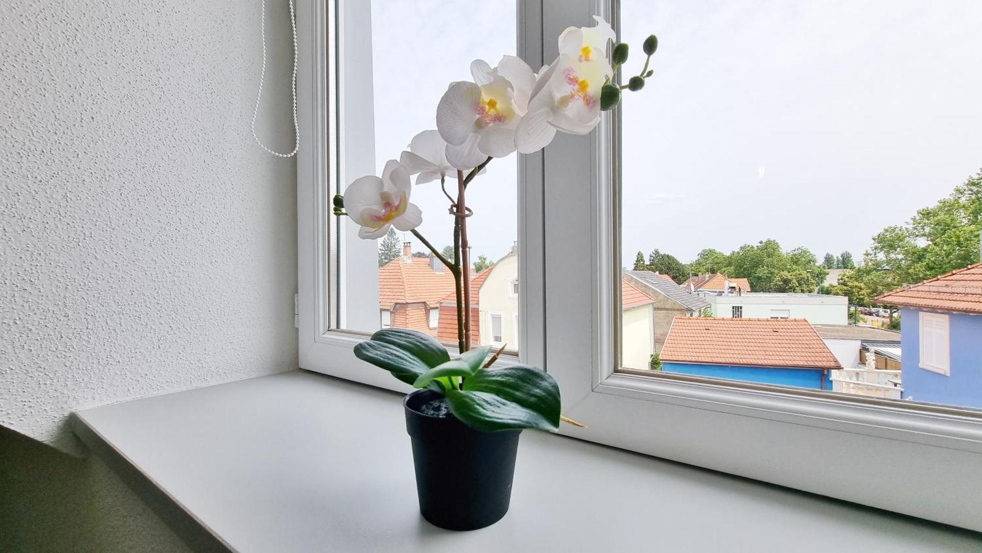 Le Triplex - 5 Chambres - 10 Pers- Fibre - Relax Bnb Mulhouse Ngoại thất bức ảnh